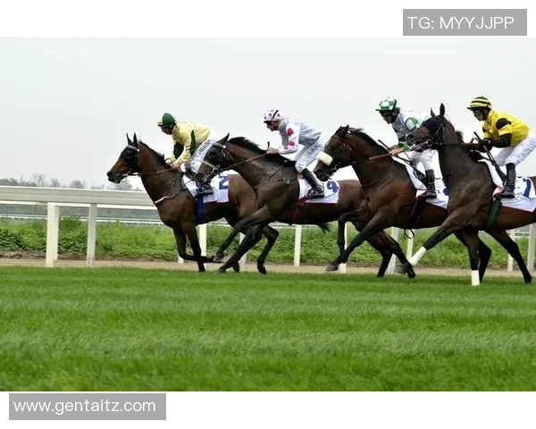 泰国与阿联酋精彩对决聚力直播全程回顾与精彩瞬间分析 泰国与阿联酋精彩对决聚力直播全程回顾与精彩瞬间分析