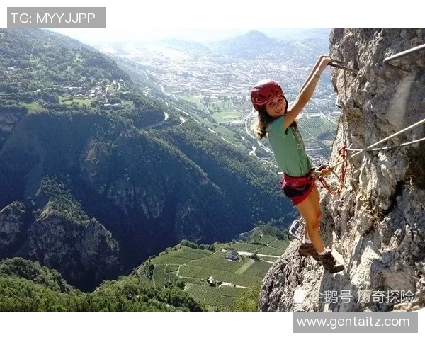 探索多功能登山杖的魅力与实用性助力你的户外探险之旅