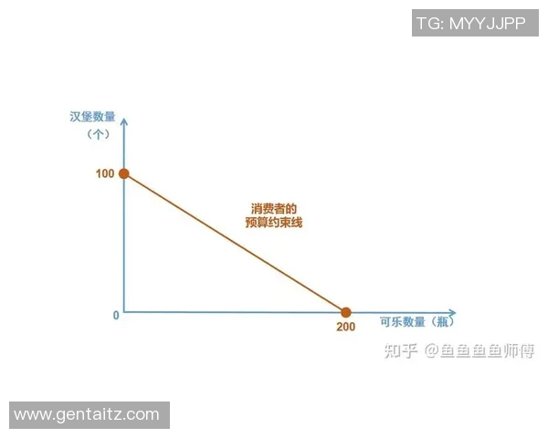探讨返奖率对玩家选择游戏的重要影响及其背后的经济学原理