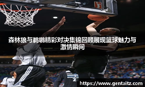 太阳成集团官方网址